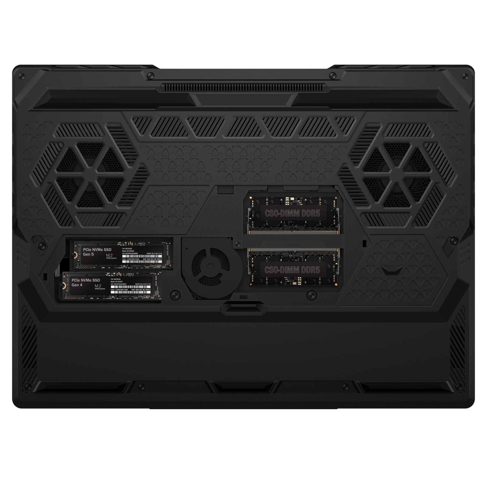 MSI Raider